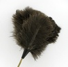 Farmed Ostrich Feather Duster picture