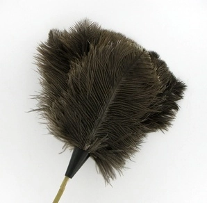Farmed Ostrich Feather Duster