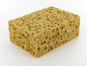 Vegetal Sponge
