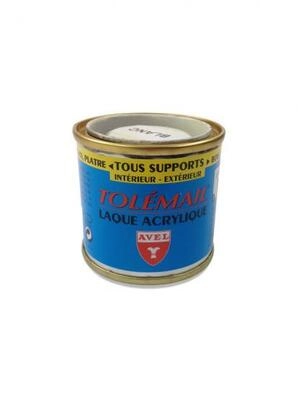 Acrylic Laquer Paint TOLEMAIL