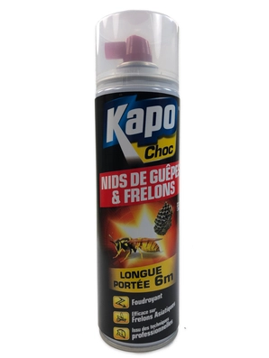 Insecticide Nests of Wasps and Hornets KAPO