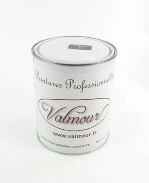 VALMOUR ELASTOBOIS Paint